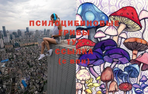 PSILOCYBIN Алексин