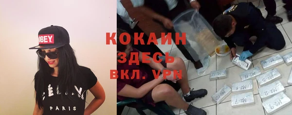 дмт Алзамай