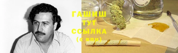 гашик Алексеевка