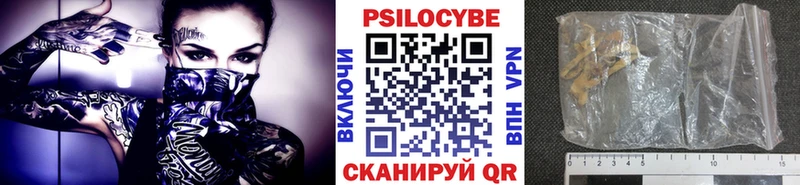 гидра tor  Ртищево  Галлюциногенные грибы Psilocybine cubensis  наркота 