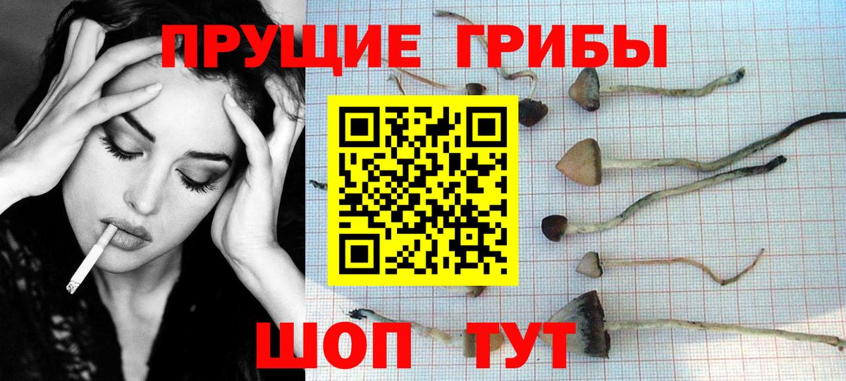 Ртищево  Псилоцибиновые грибы ЛСД  Галлюциногенные грибы мухоморы  Вход с VPN 