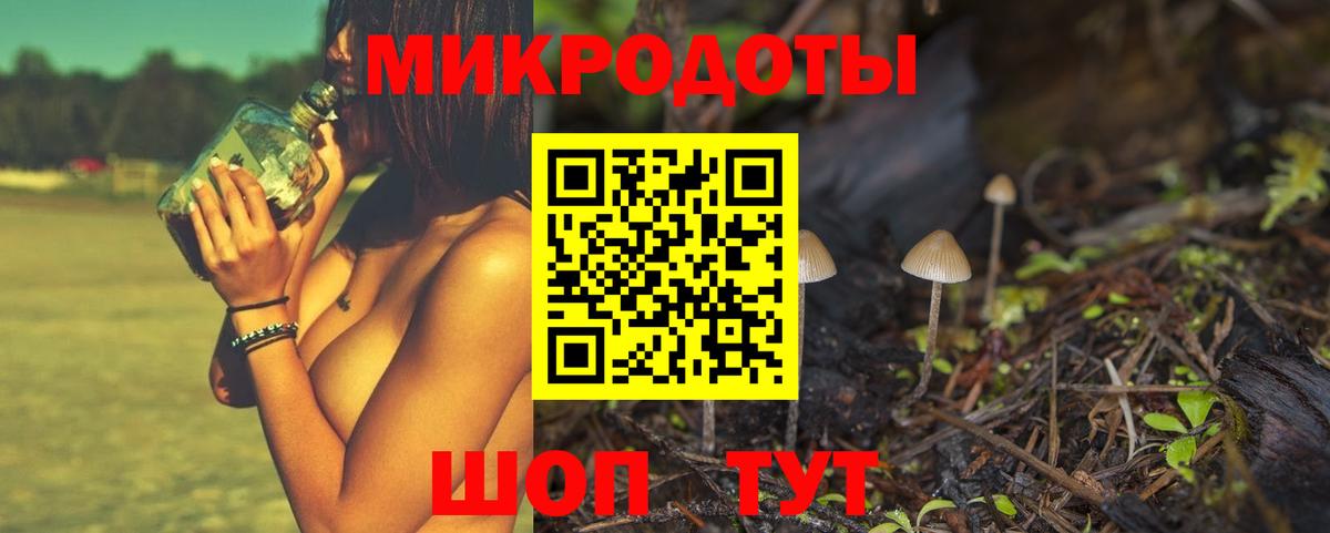 Псилоцибиновые грибы мицелий Ртищево
